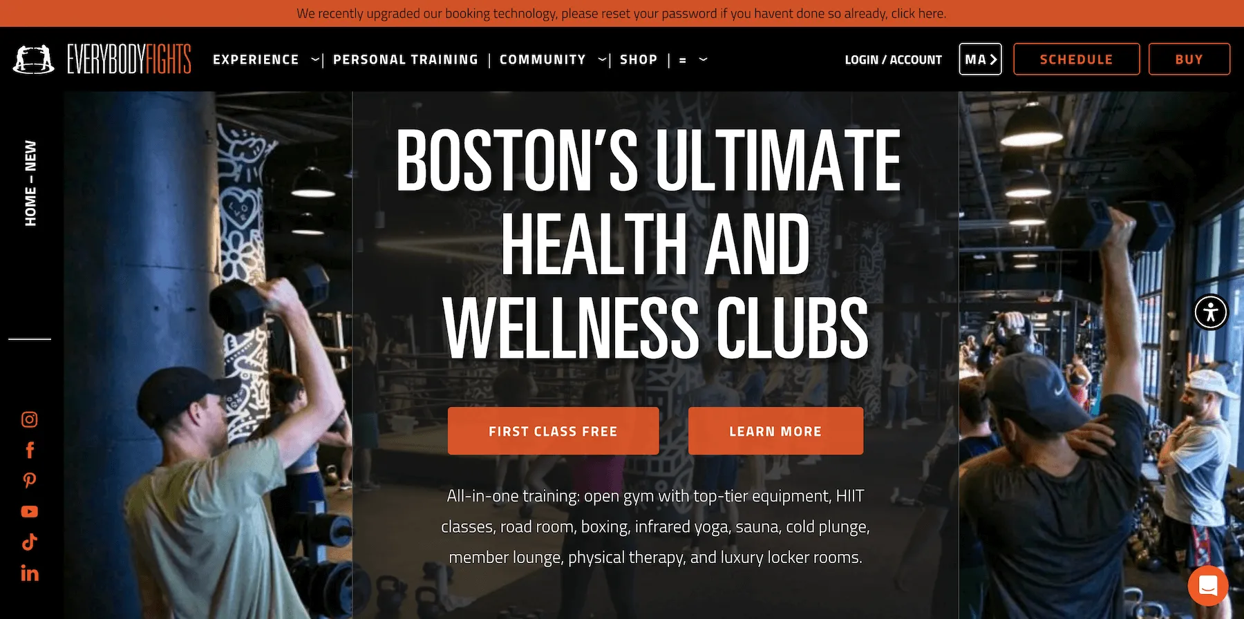 gym website design - everybody fights