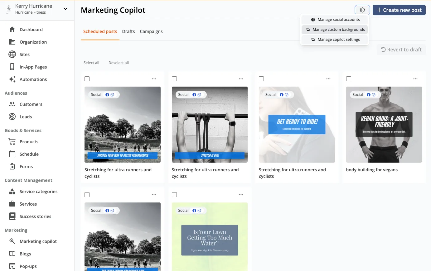 Marketing Copilot settings menu showing the Manage custom Backgrounds option