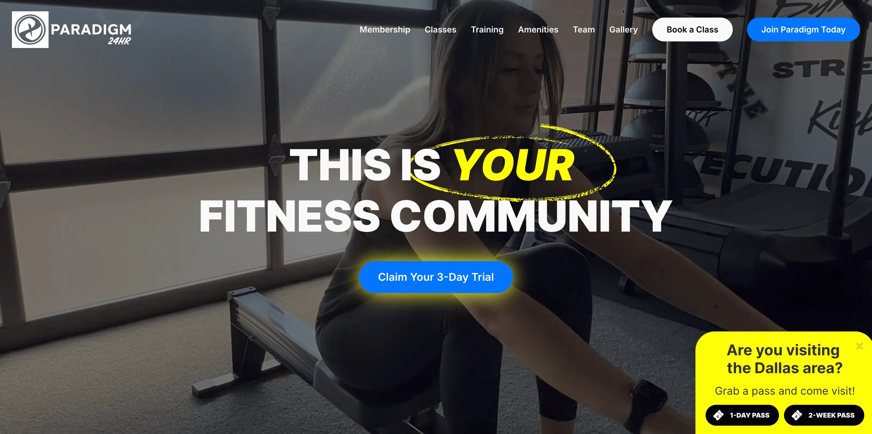paradigm gym - gym website design