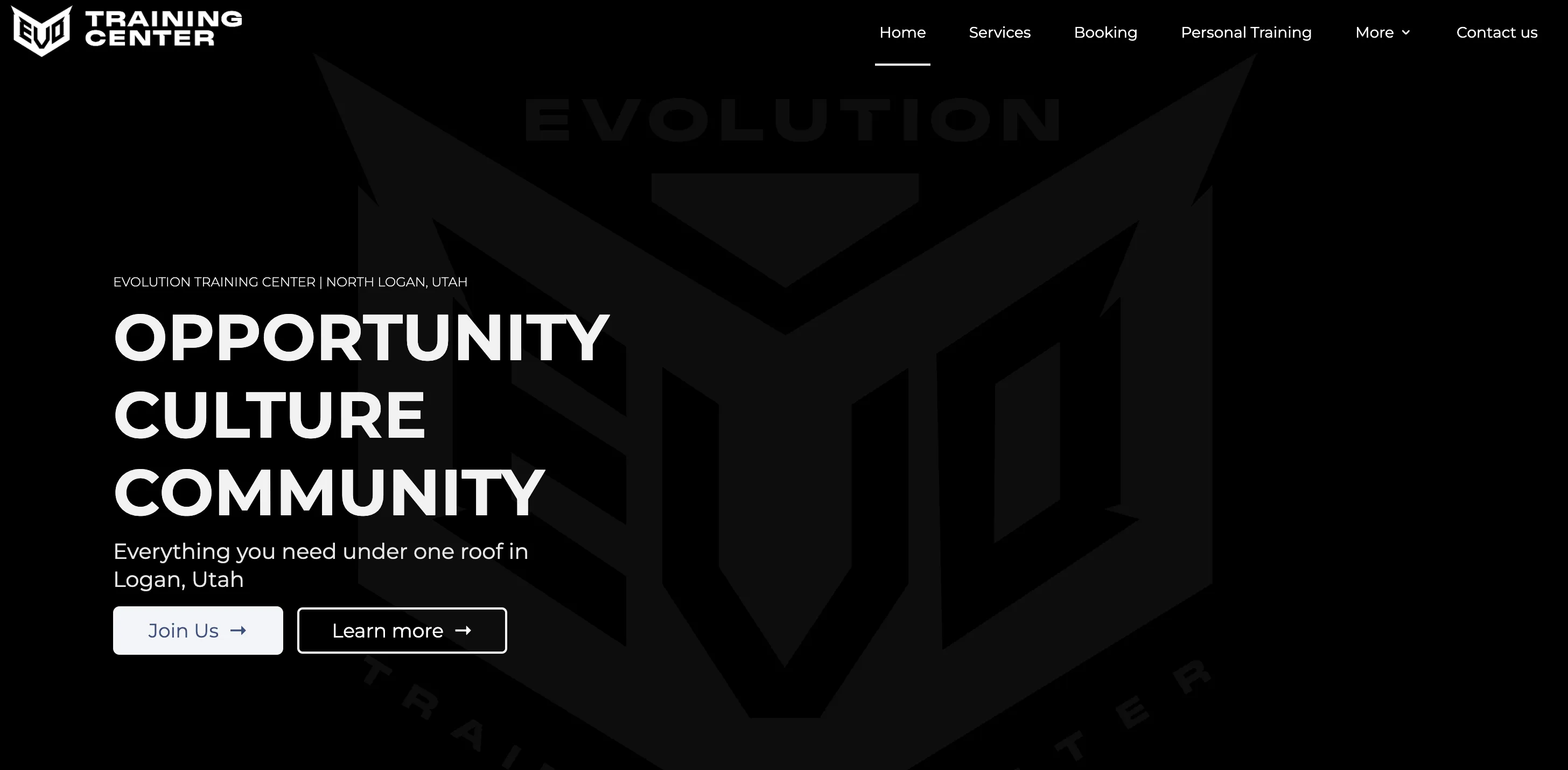 gym website design - evo training