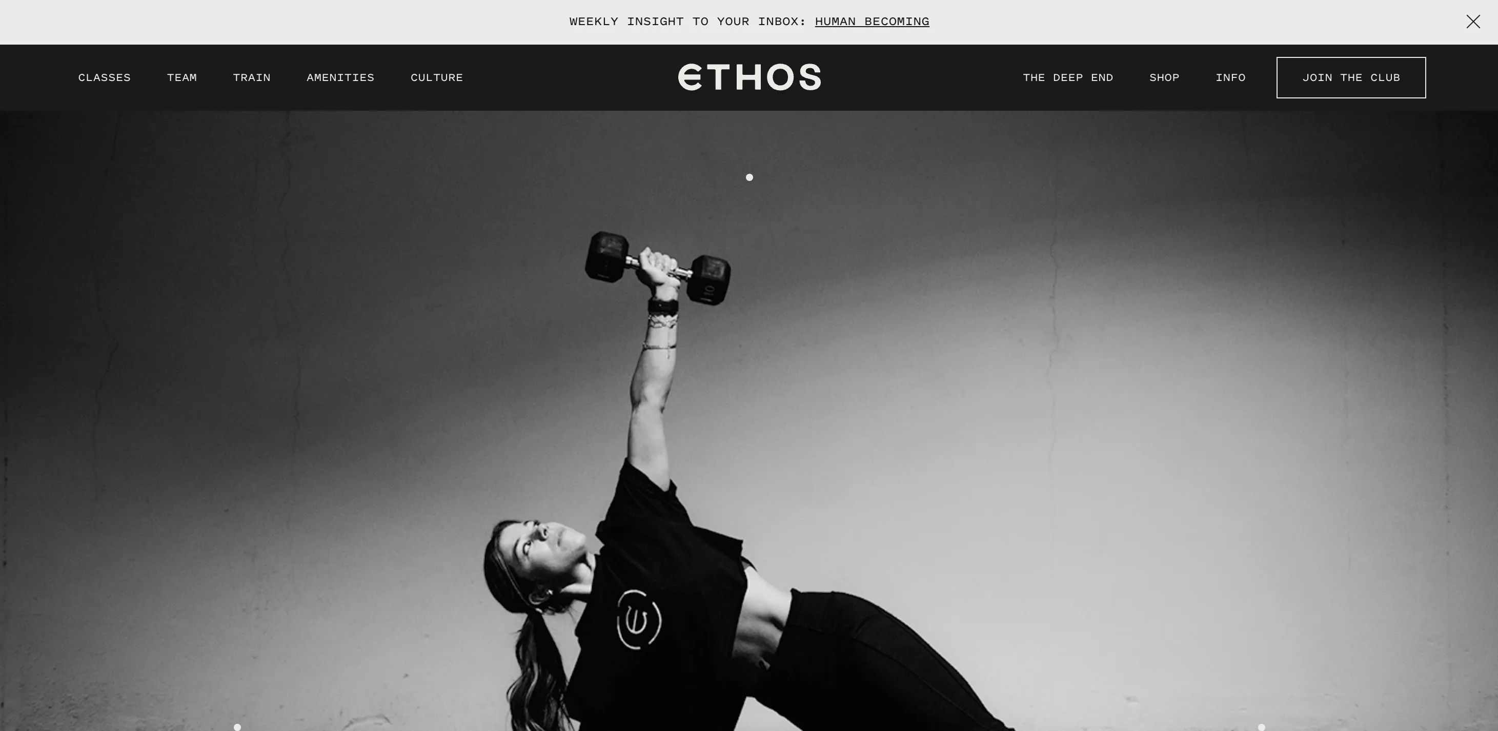 gym website design - ethos