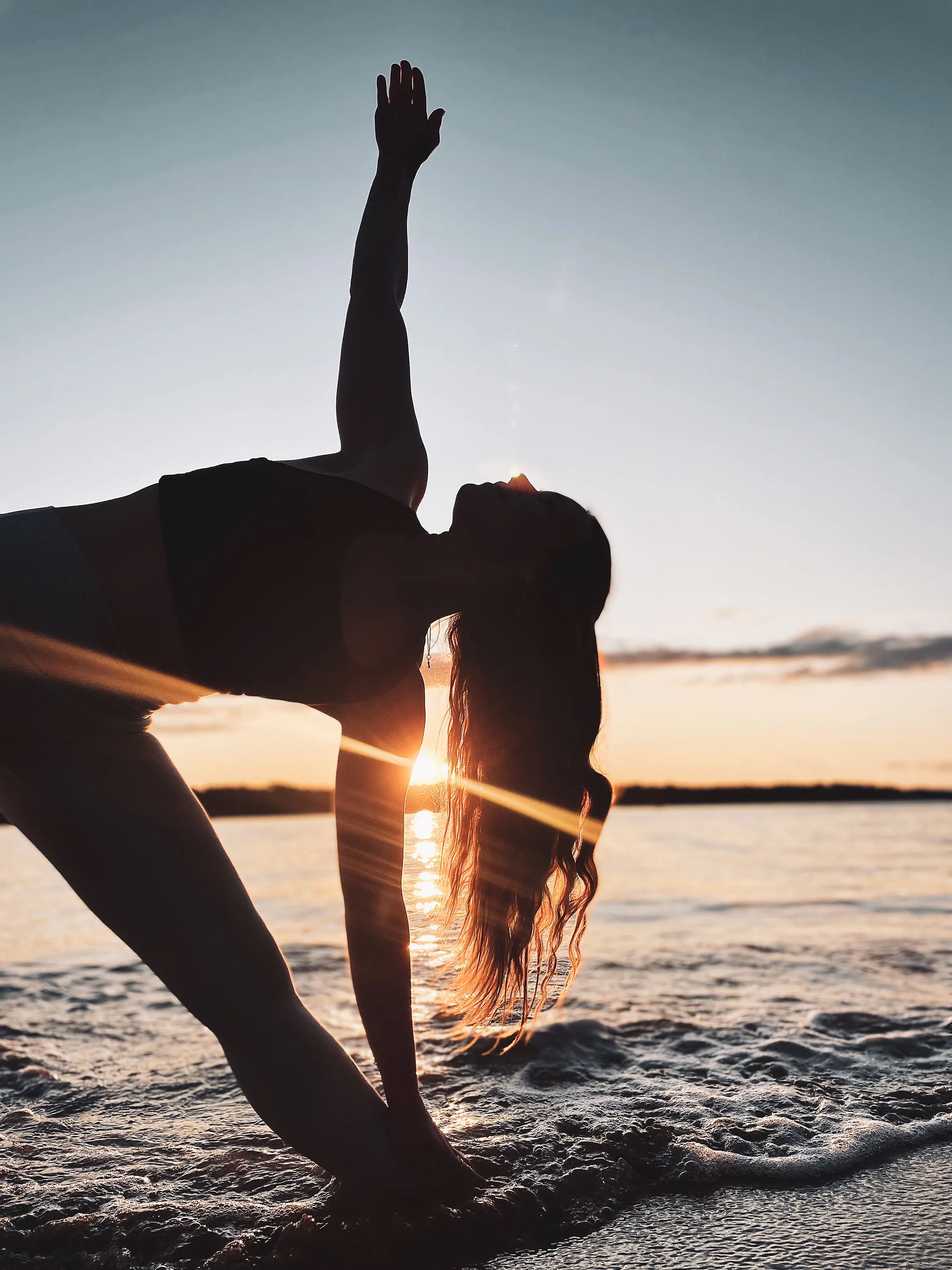 Zipper vs. WellnessLiving comparison