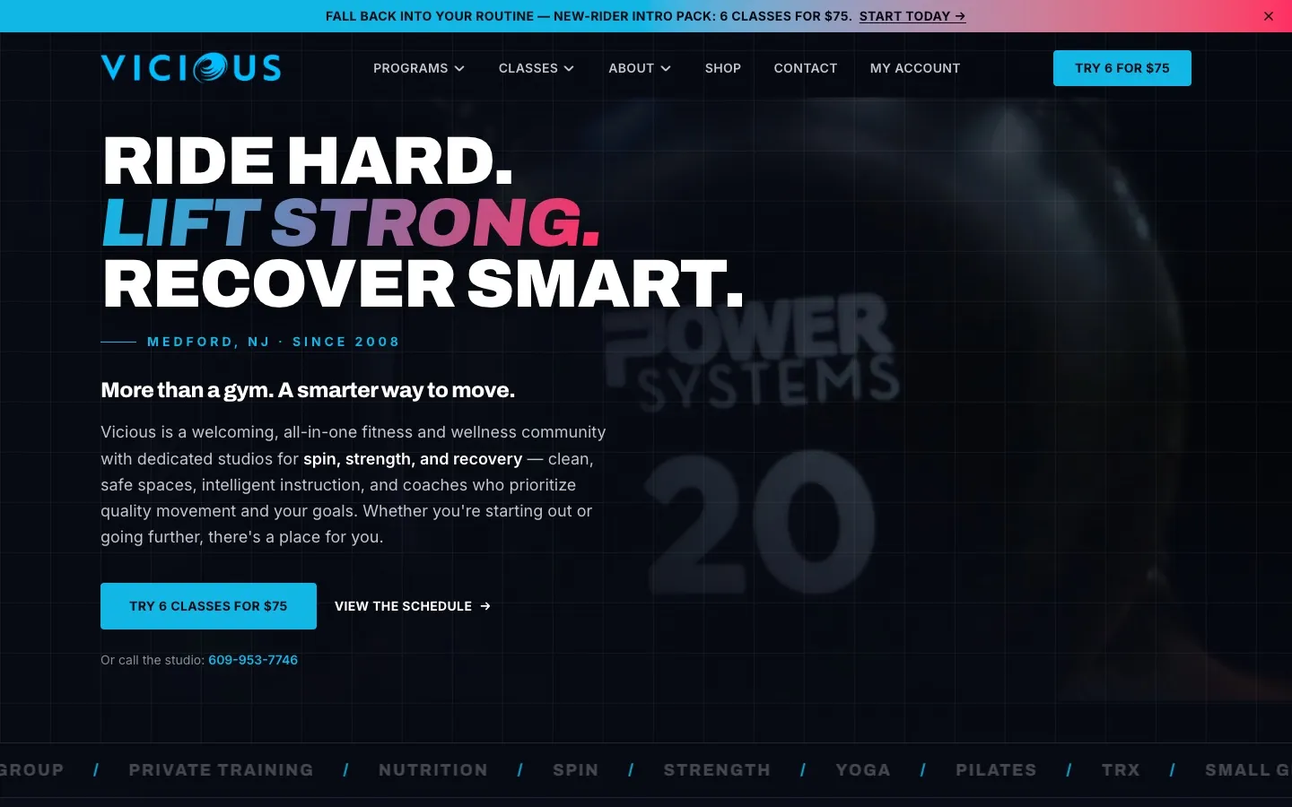 Vicious homepage
