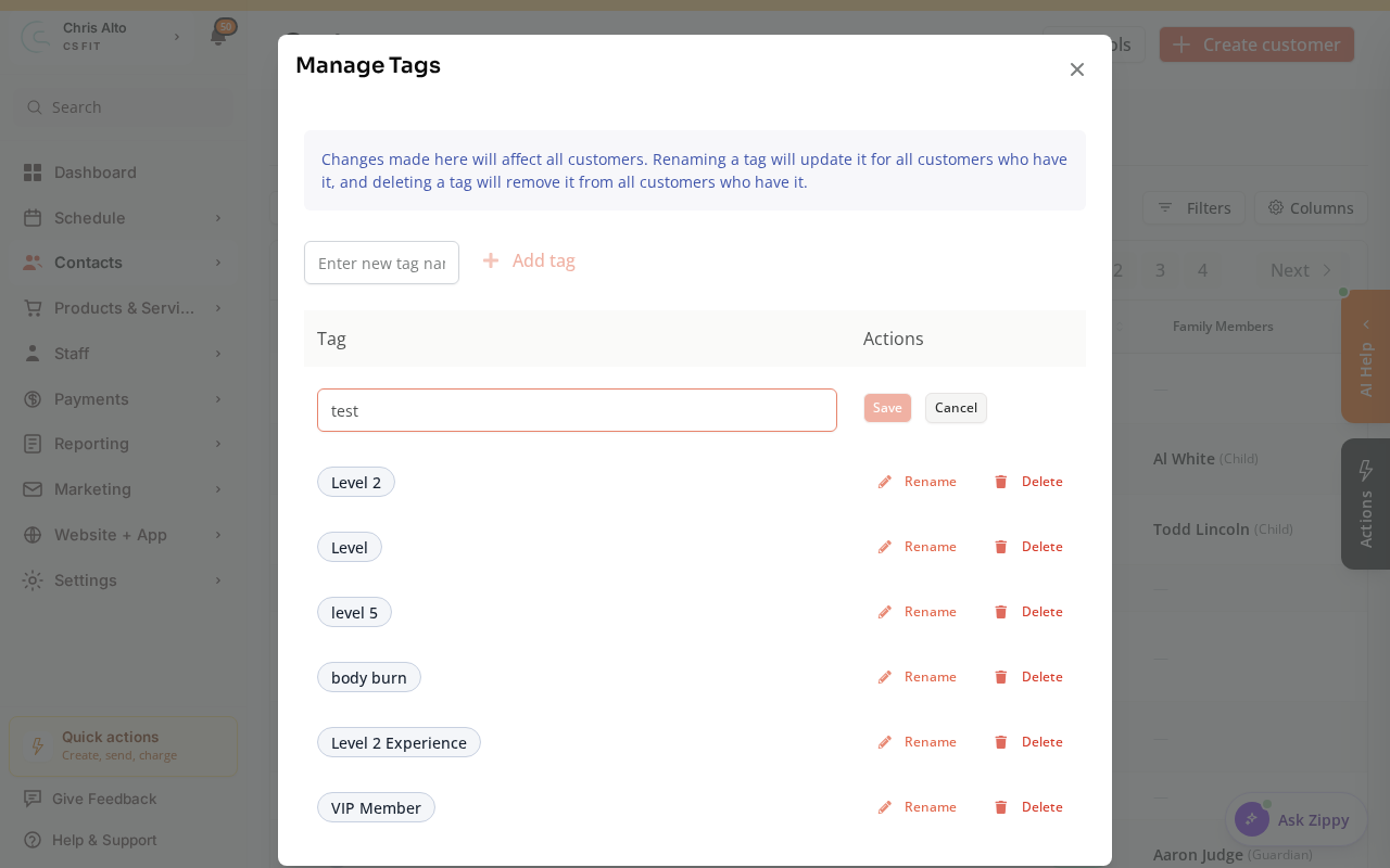 The Rename control active on a tag in the Manage Tags modal